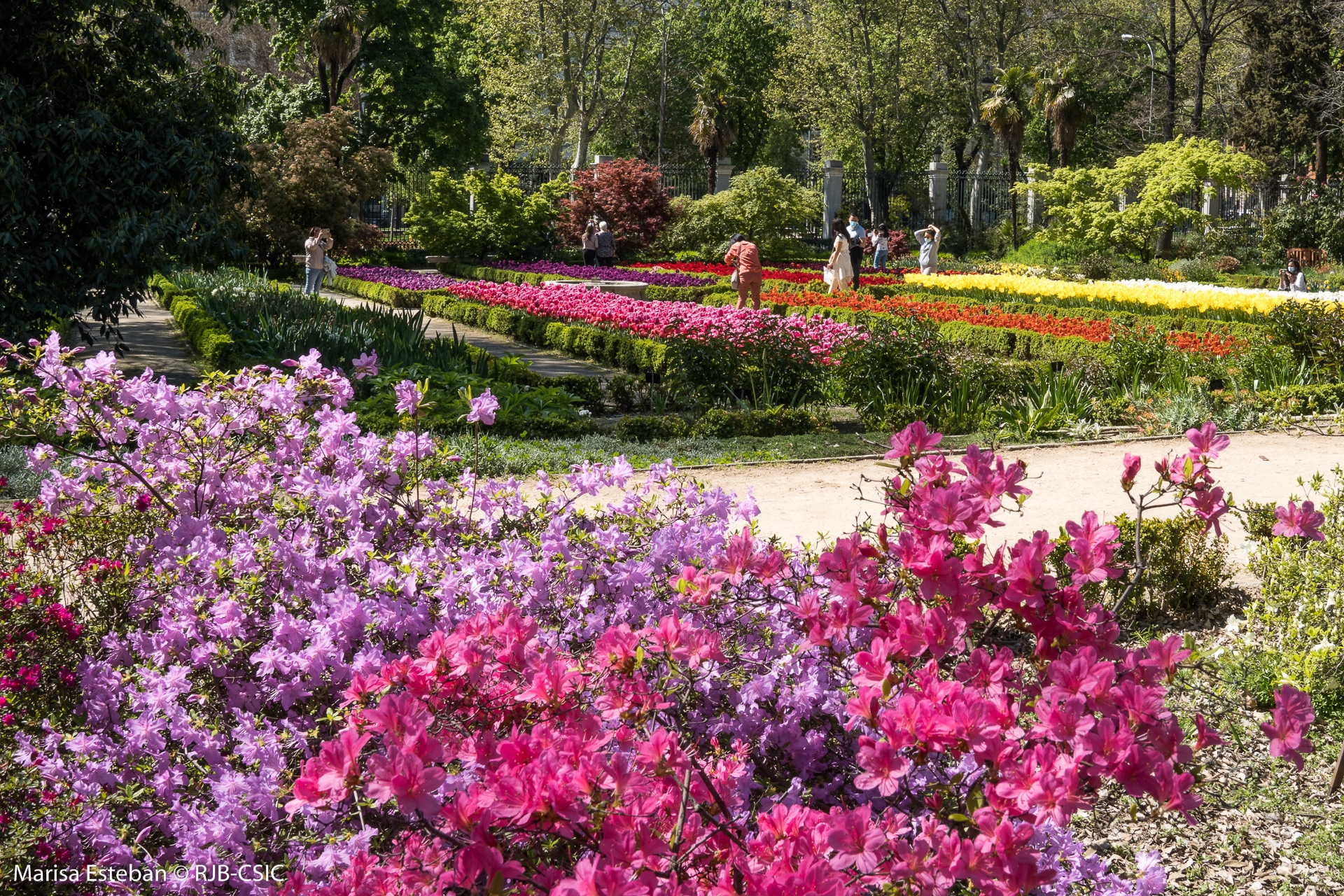 imagen del jardin botanico en el post madrid en primavera